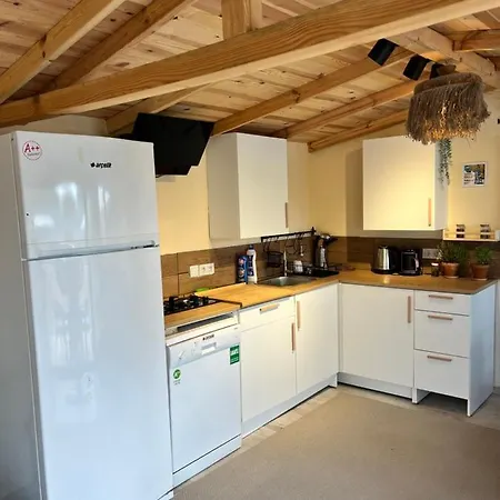 Istanbul Da Havuzlu Ahsap Ev Holiday home